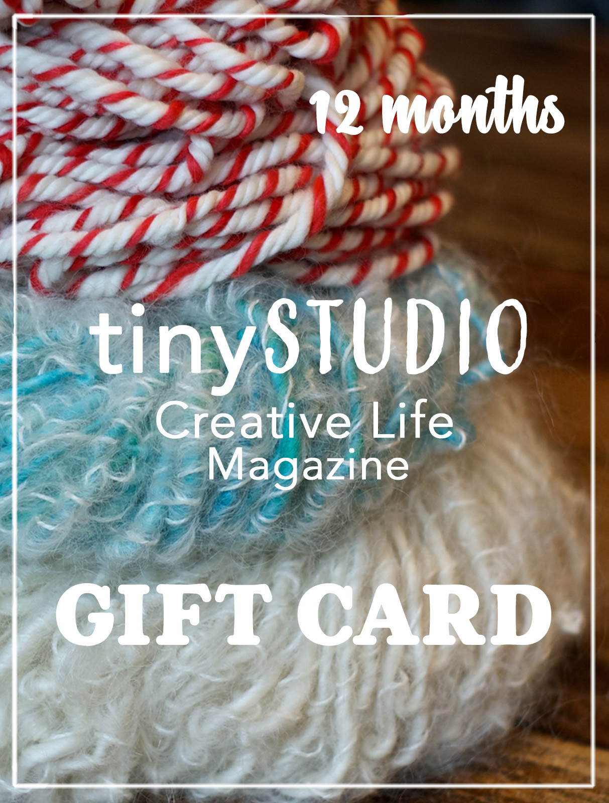 12 Months tinyStudio Gift Card