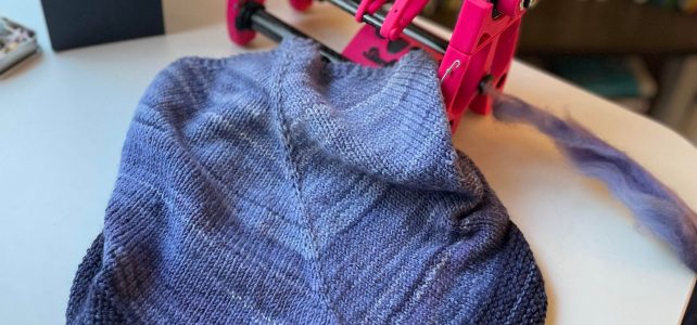 Daedalus – Fiberygoodness Spinners Apprenticeship Update!