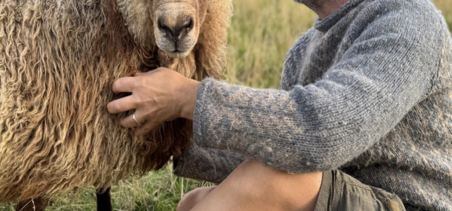 tinyStudio Issue 30!